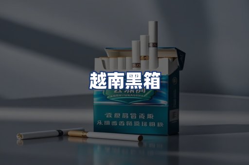 越南黑箱